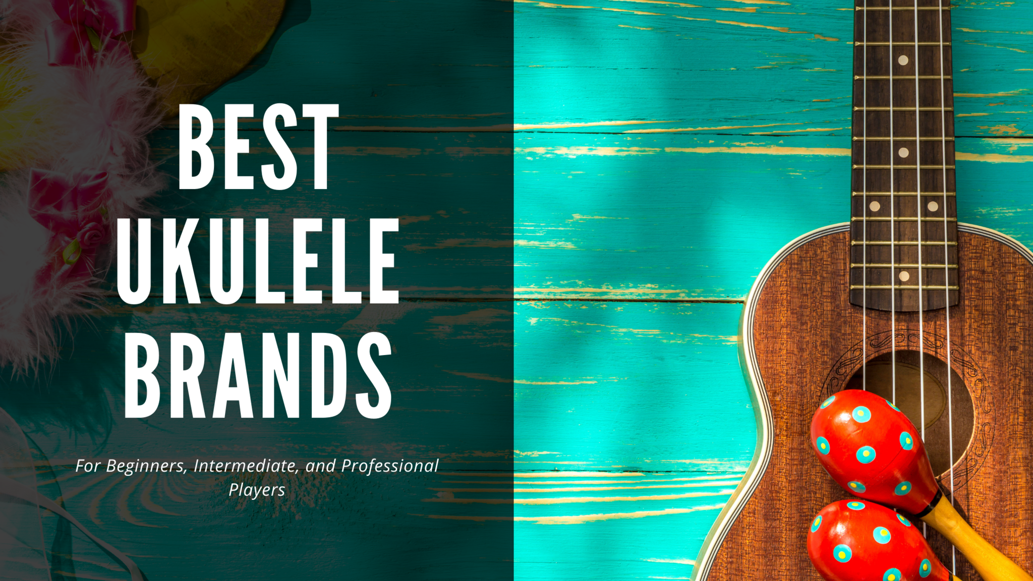 Best entry on sale level ukulele