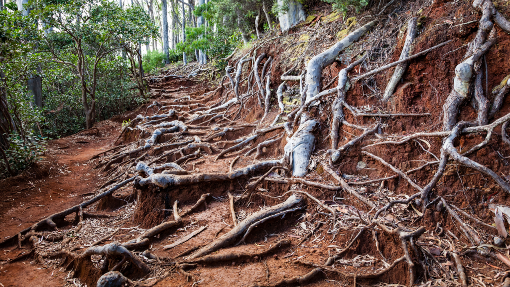 hiking on Oahu