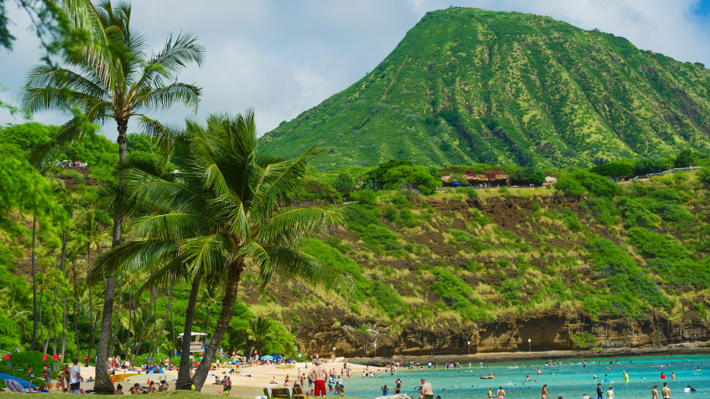 Reef Safe Sunscreen Hawaii 15 Top Picks to Protect the Ocean