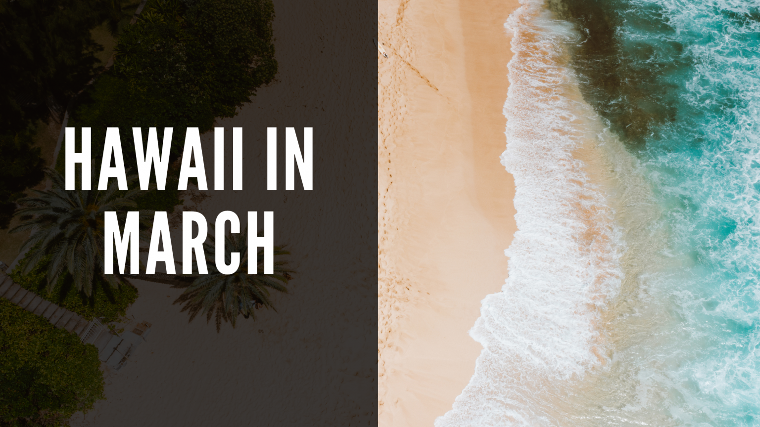 Visiting Hawaii in November Things to Do and What to Expect