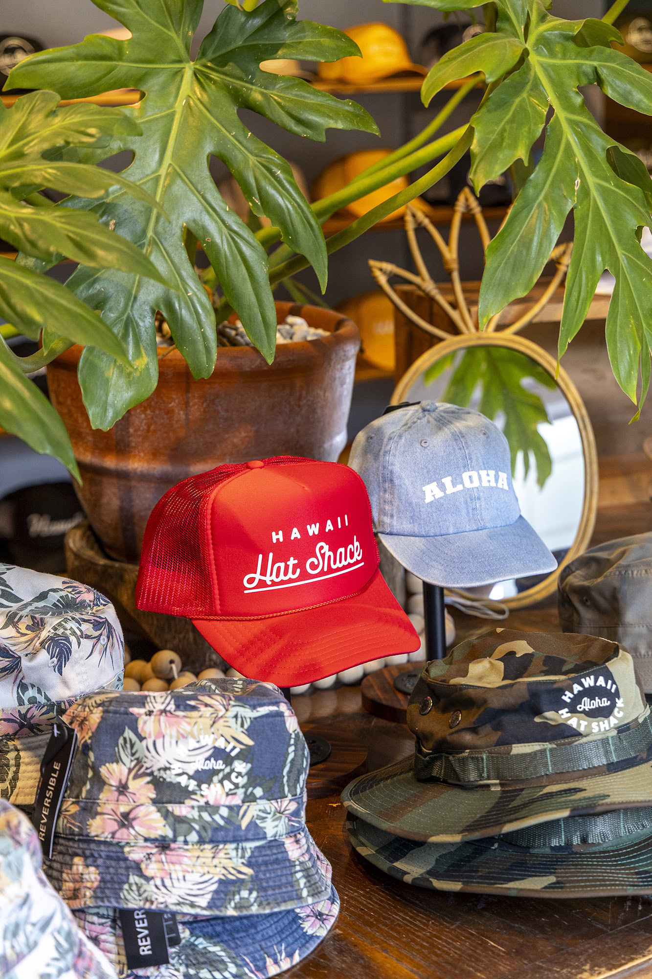 ハワイ・ハット シャック - Honolulu, Hawaii | コレクションズ・オブ